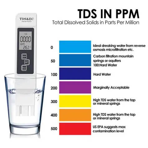 Cách tính và đọc chỉ số PPM