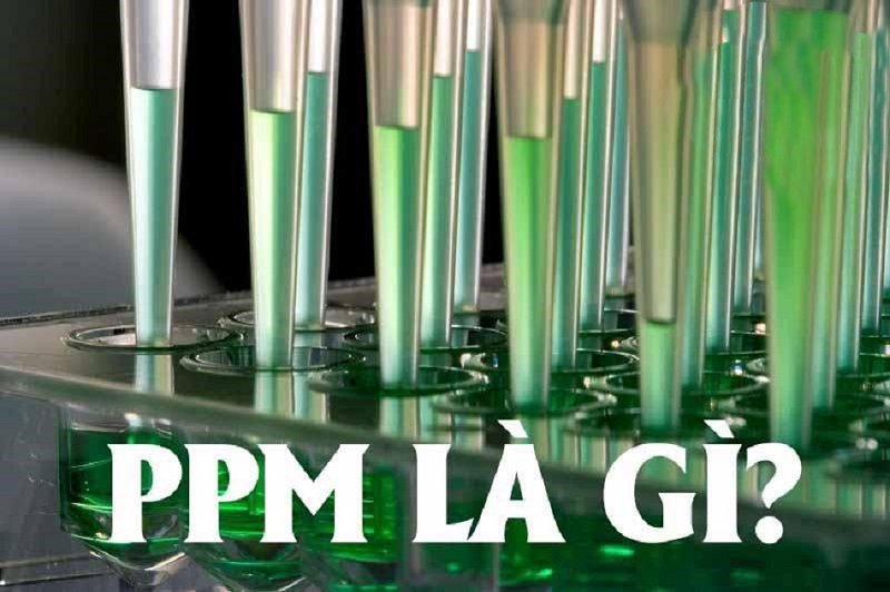Tìm hiểu về PPM Là Gì?