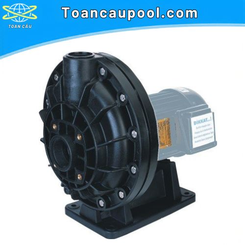 Máy bơm axit mono 1HP (không kèm lọc thô)